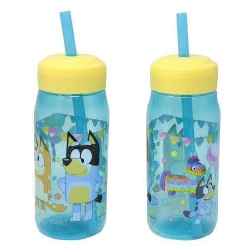 Biuey Water Bottle With Straw- Set Of Two.