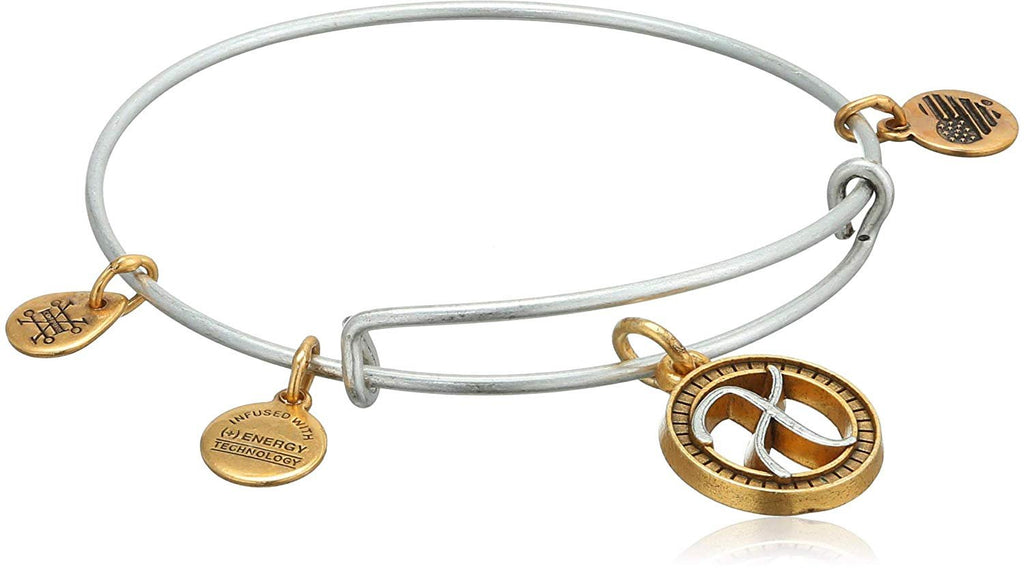 Alex and Ani Initial X Two-Tone Charm Bangle Bracelet - Rafaelian Gold and Silver Finish