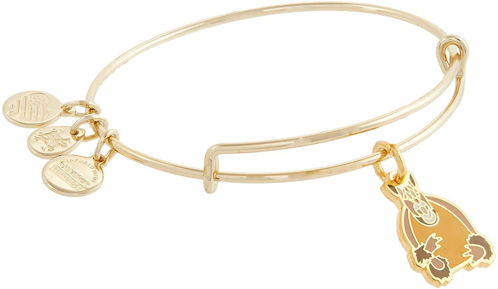 Alex and Ani Friends Holiday Armadillo Bangle Bracelet Brown One Size