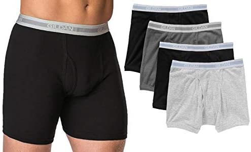 Gildan Men's 4-Pack Boxer Brief
