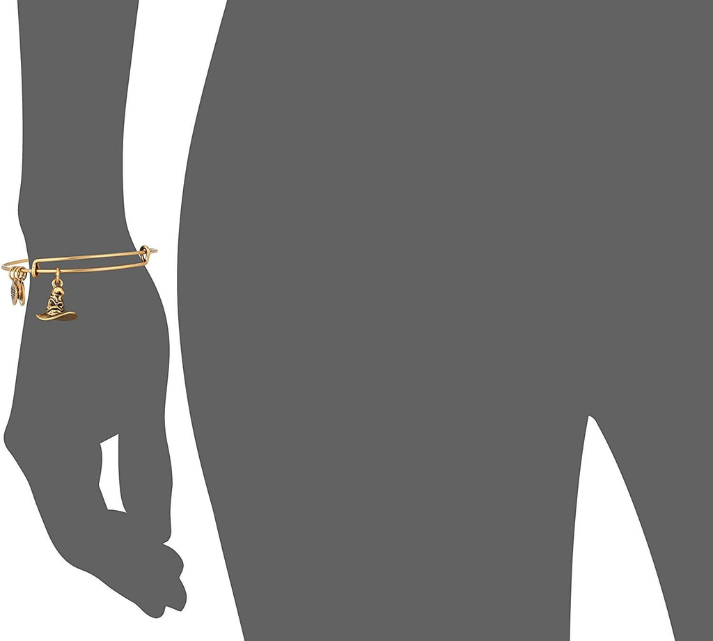 Alex and Ani Women's Harry Potter Sorting Hat Bangle