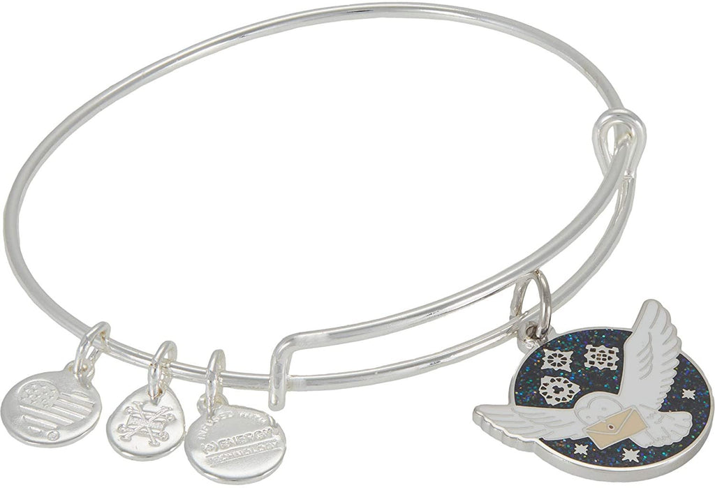 Alex and Ani Harry Potter Owl Post Bangle Bracelet