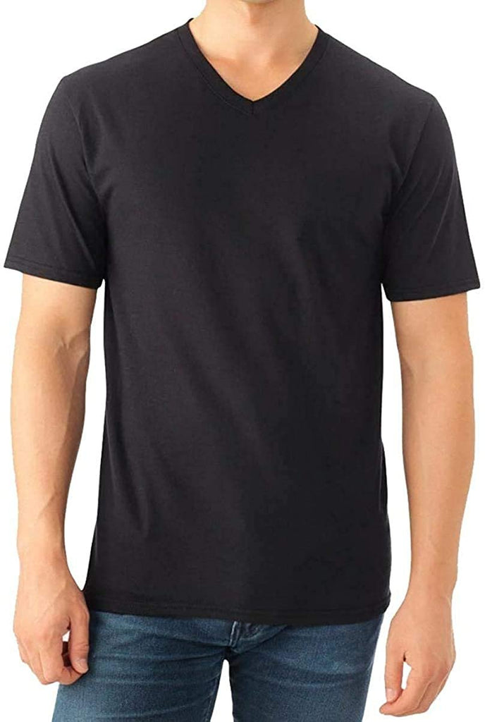Fruit of the Loom Select Men's V-Neck T-Shirts Classic Fit Wicks Moisture Tagless Random 6-Pack