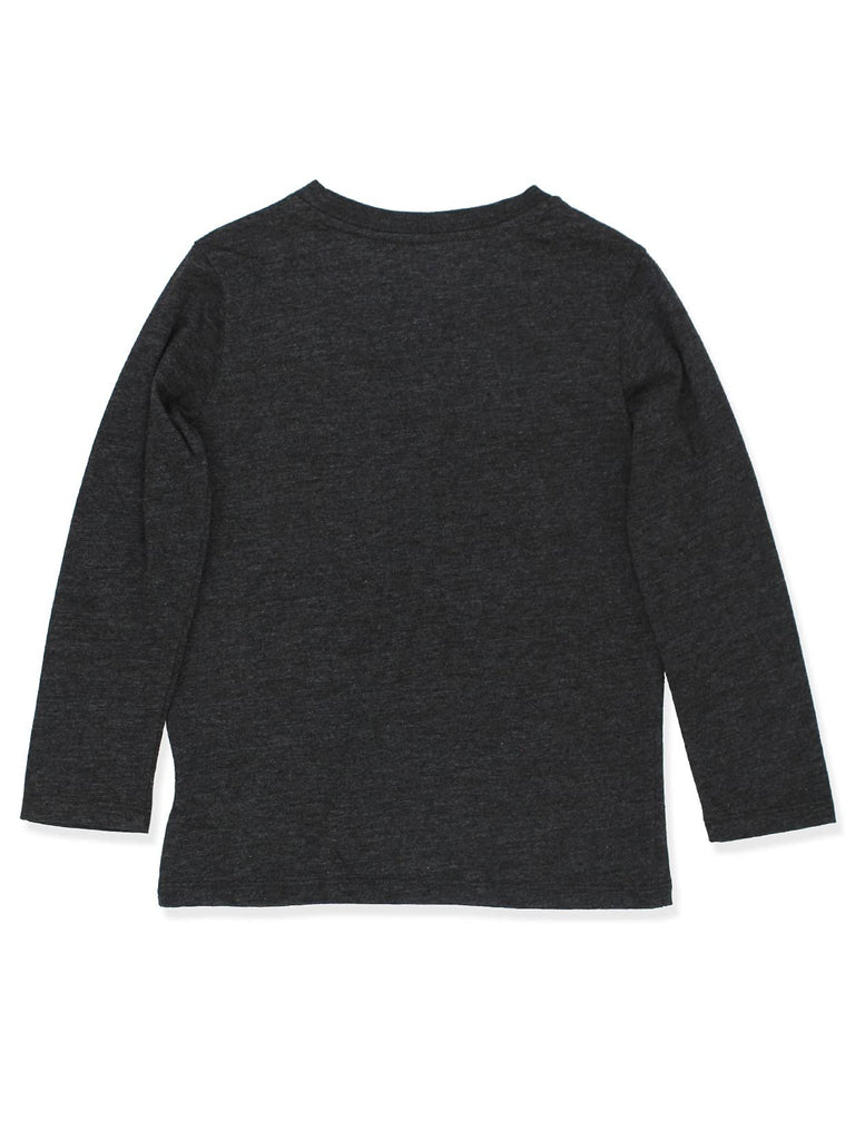 Blaze and The Monster Machines Toddler Long Sleeve T-Shirt Tee (4T, Gray)