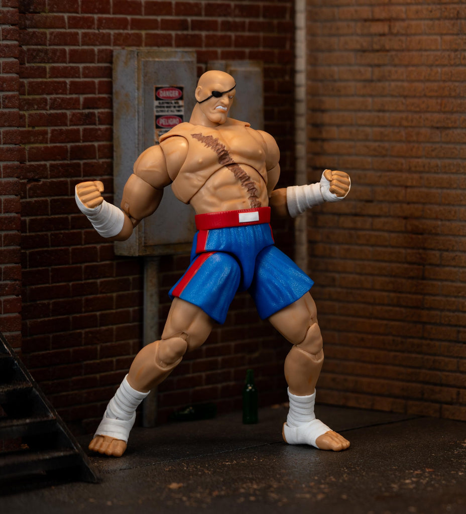 Jada Street Fighter II Sagat Deluxe 1:12 Scale Action Figure - Highly Articulated, Tiger Shot Accessory & Stand, 7.6" Tall