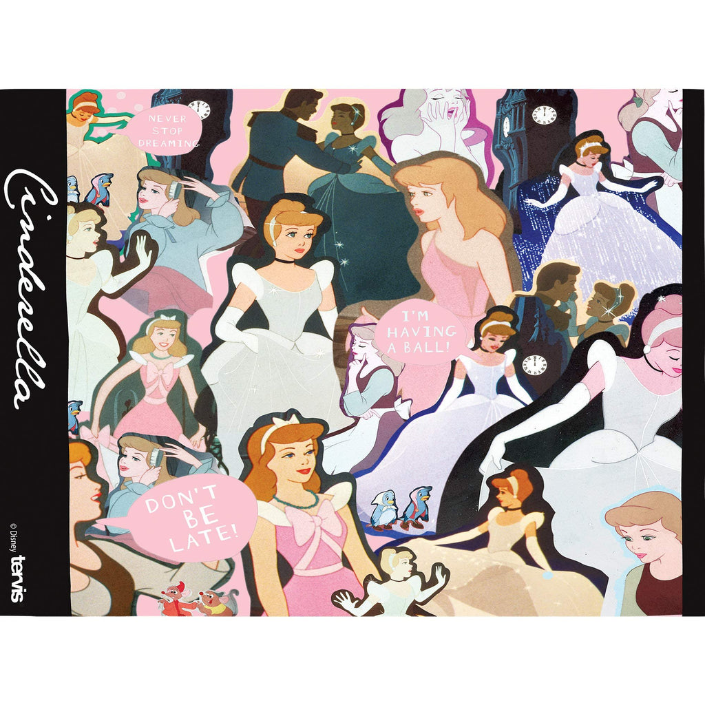 Tervis Disney-Cinderella Made in USA Double Walled Insulated Tumbler, 70th Anniversary