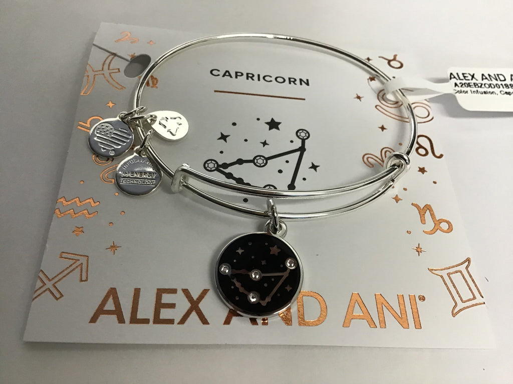 COLOR INFUSION, Capricorn EWB, SS Bracelet New In The Box
