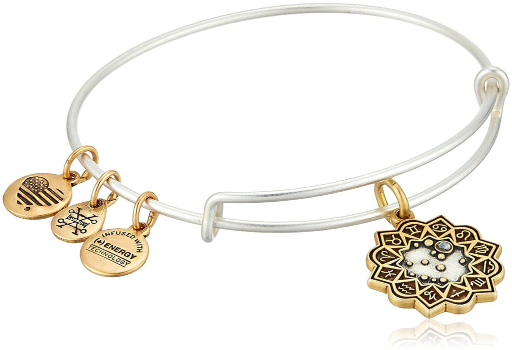 Alex and Ani Gemini Two Tone Bangle Bracelet NWTBC