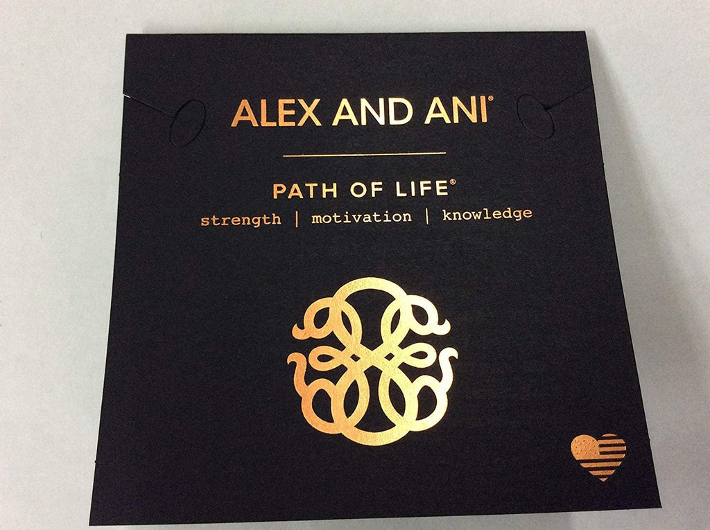 Alex and Ani Path of Life IV Bangle Bracelet Midnight Silver NWTBC