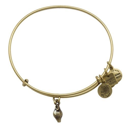 Alex and Ani Charity By Design Zest for Life Bangle Bracelet