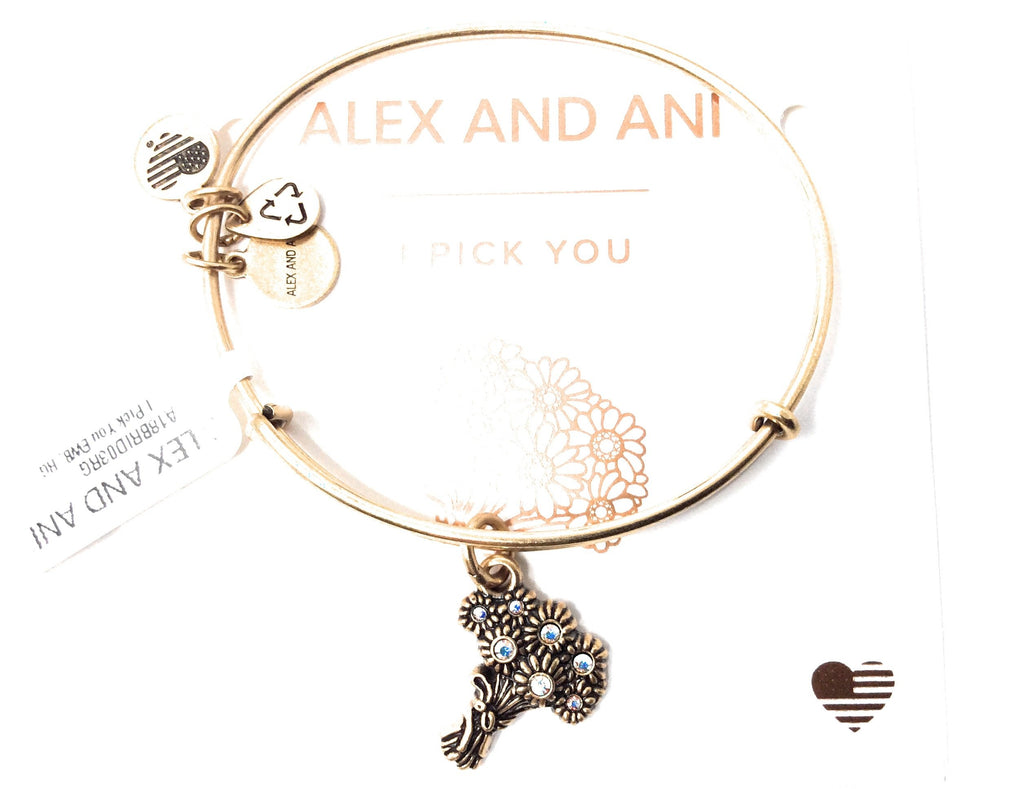 Alex and ANI Womens I Pick You EWB Bangle Bracelet, Expandable