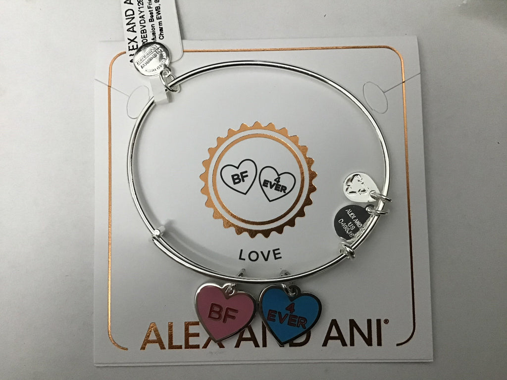 Alex and ANI Color Infusion Best Friends Duo Charm Bangle Bracelet Silver One Size