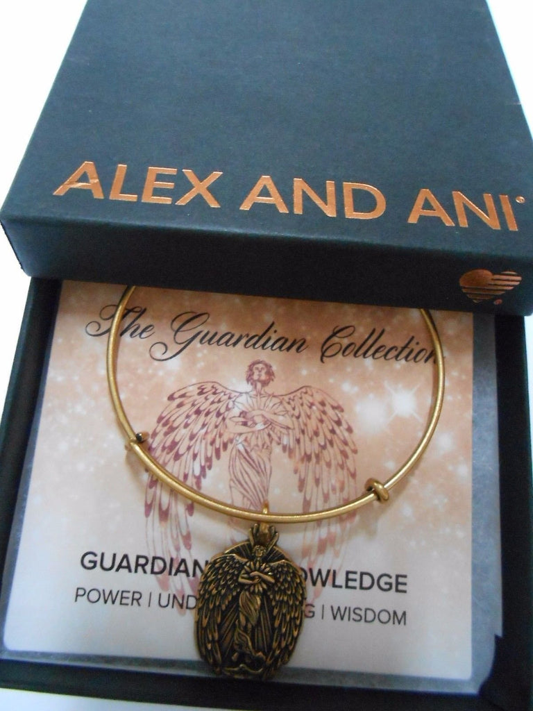 Alex and Ani Guardian of Knowledge Expandable Chain Necklace