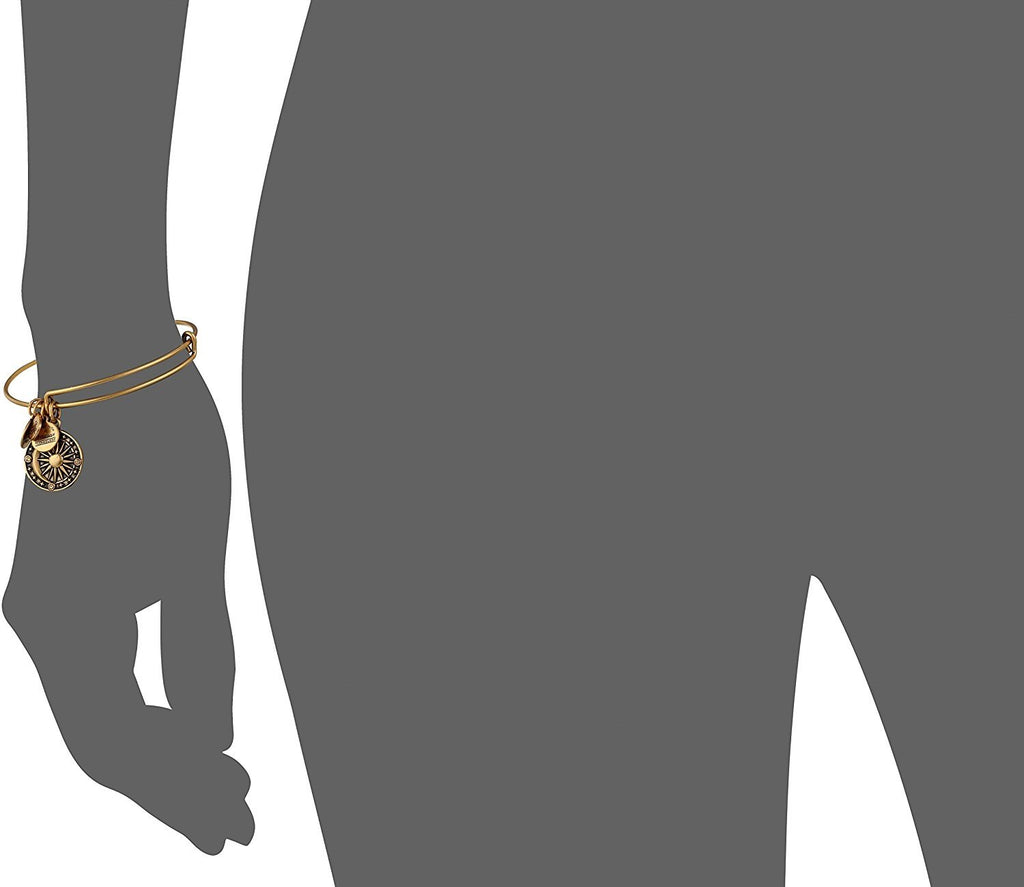 Alex and ANI Cosmic Balance II Expandable