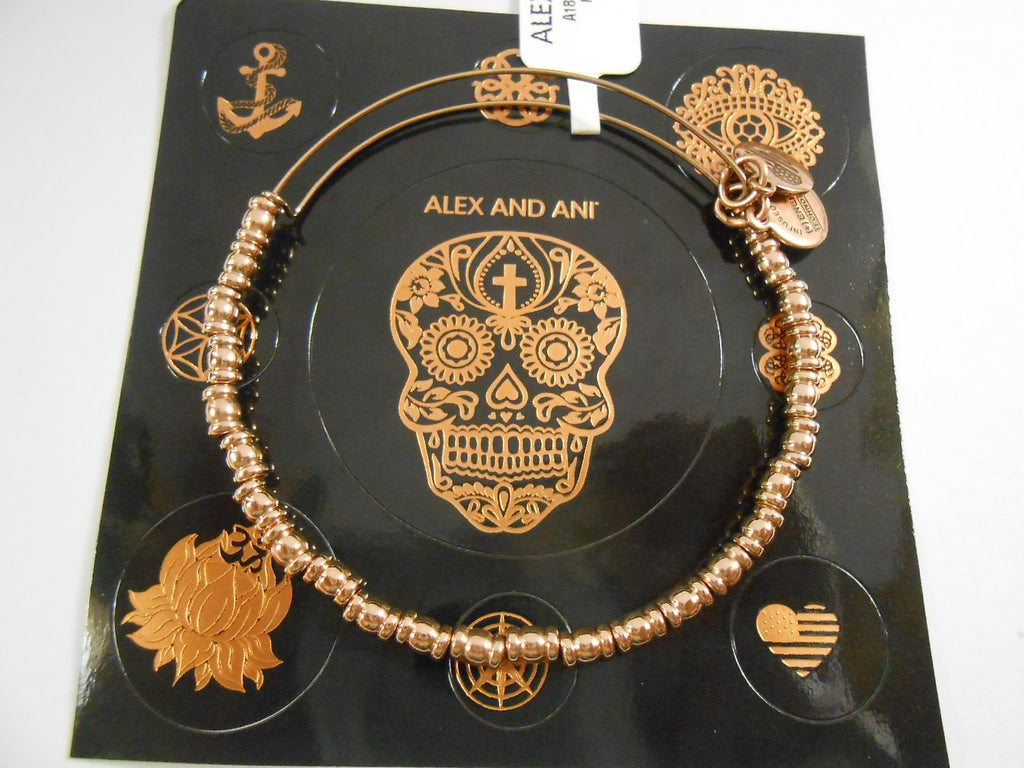 Alex and Ani Womens Rocker Bangle Bracelet