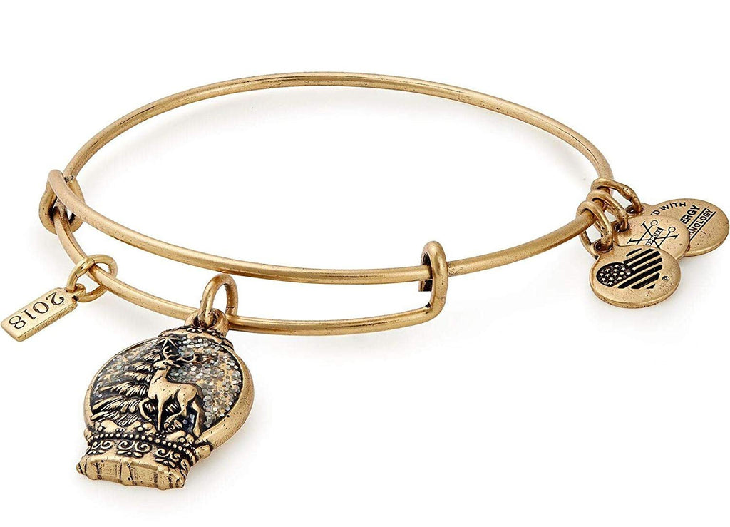 Alex and Ani Womens 2018 Bangle