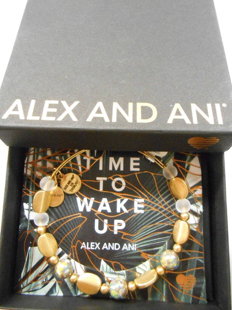 Alex and Ani Cosmo Bangle Bracelet
