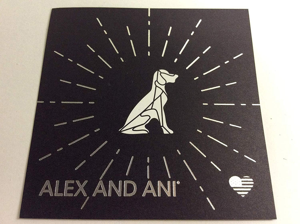 Alex and Ani Pawsitive Vibes Set of 3 Bangle Bracelet Rafaelian Silver Tag Box Card