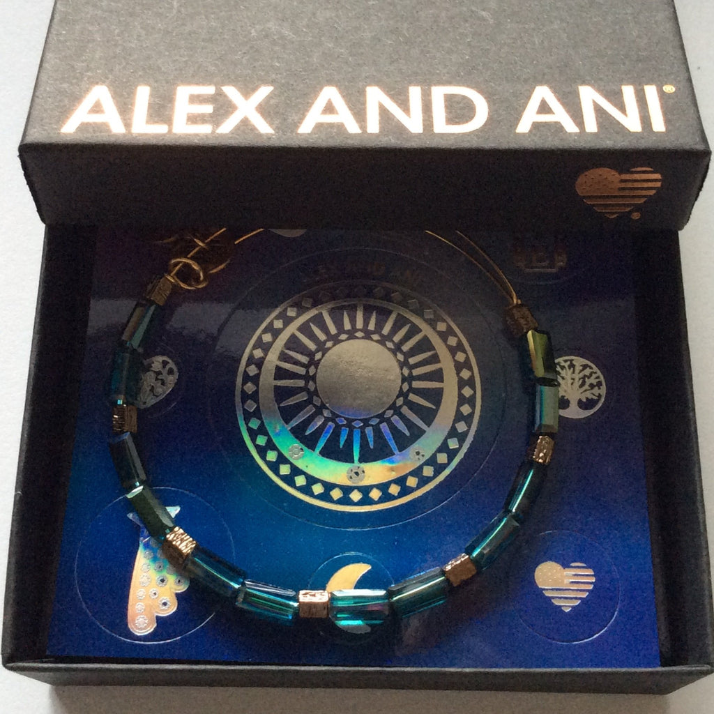 Alex and Ani Aurora Bangle Bracelet Metallic Hazel Tag Box Card