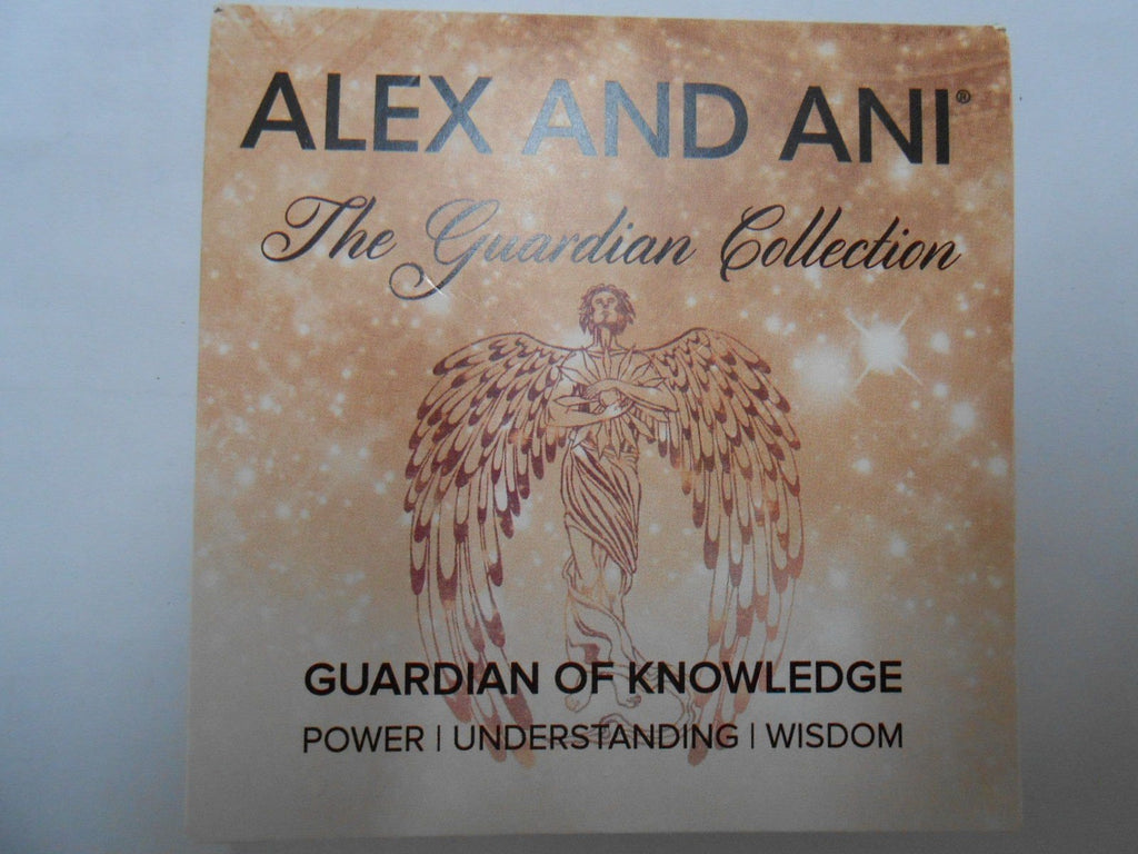 Alex and Ani Guardian of Knowledge Expandable Chain Necklace
