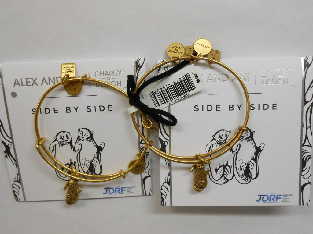 Alex and Ani Womens Charity by Design Side by Side Set of 2 Expandable Wire Bangles