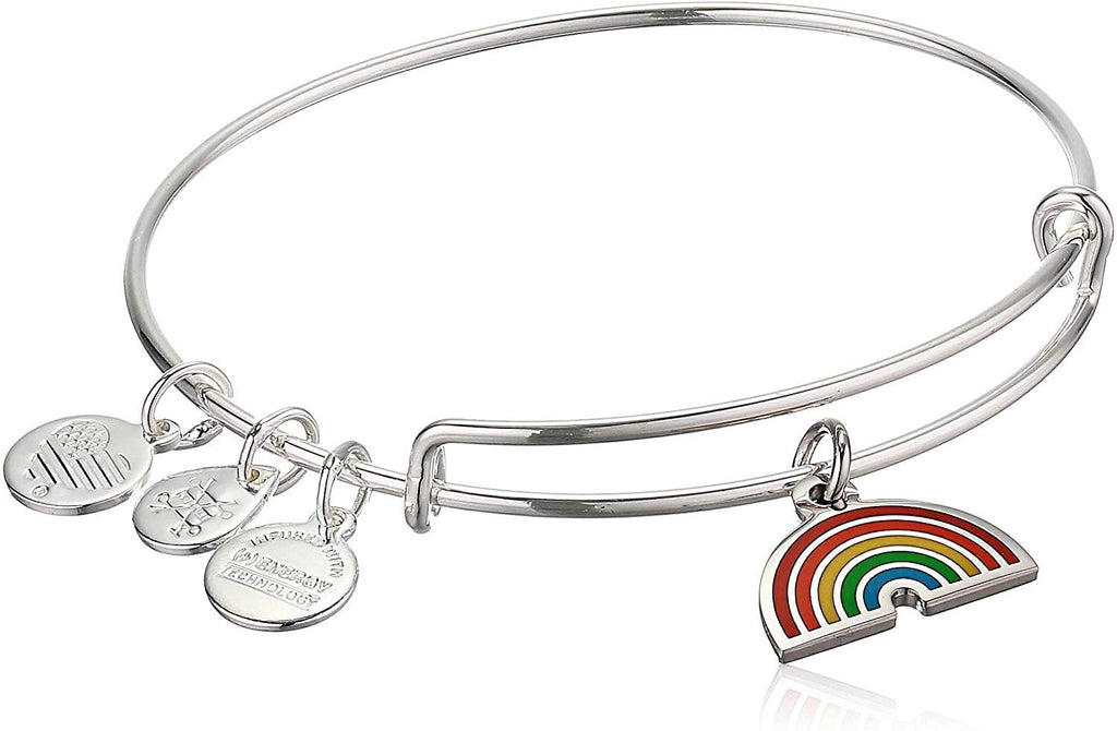 Alex and ANI Color Infusion Bangle Bracelet Silver/Rainbow One Size