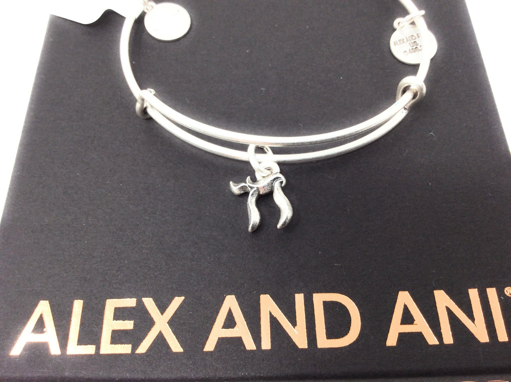 Alex and Ani Womens Chai EWB Bangle Bracelet, Rafaelian Silver, Expandable