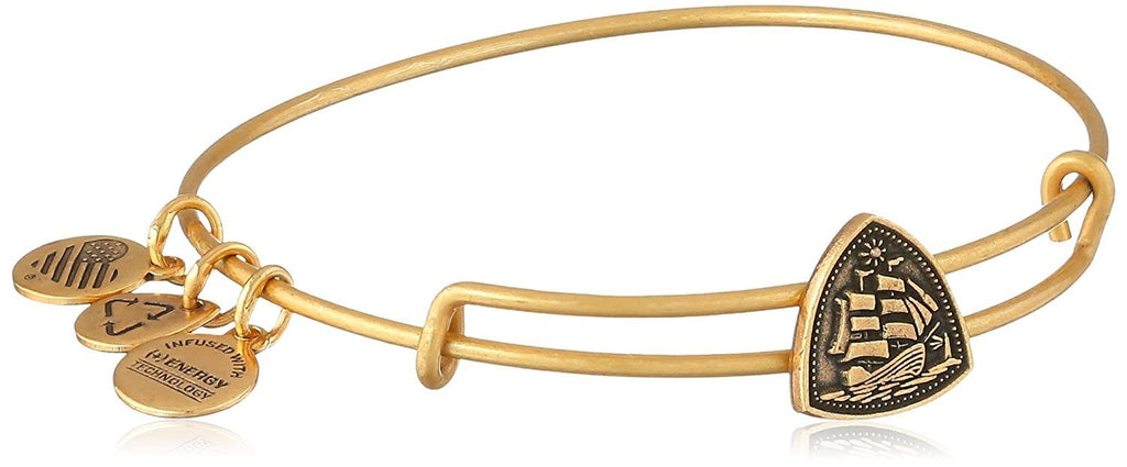Alex and Ani Coastal Odyssey Steady Vessel Slider Bangle Bracelet
