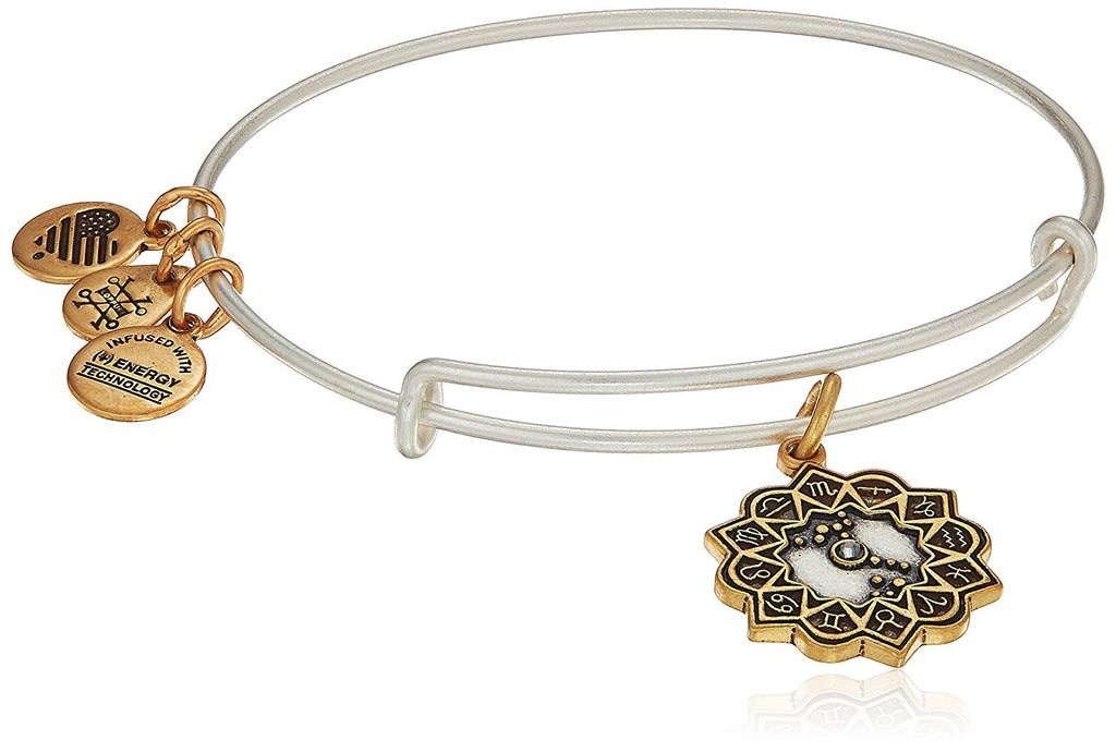 Alex and Ani Scorpio Two Tone Bangle Bracelet NWTBC