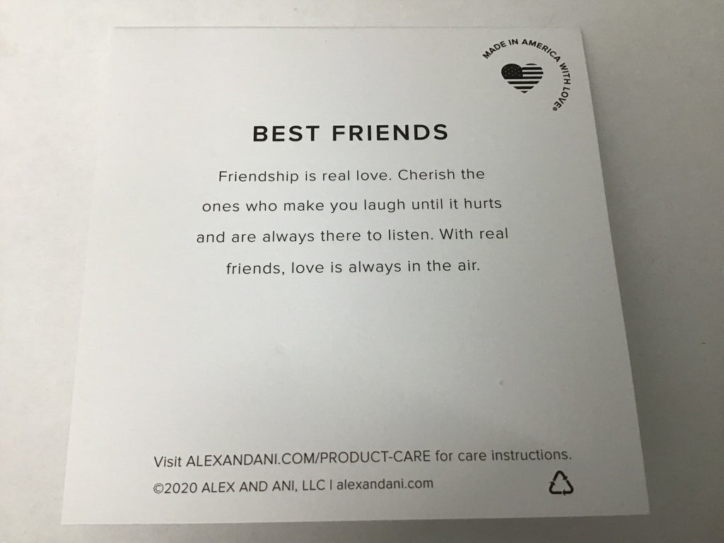 Alex and ANI Color Infusion Best Friends Duo Charm Bangle Bracelet Gold One Size