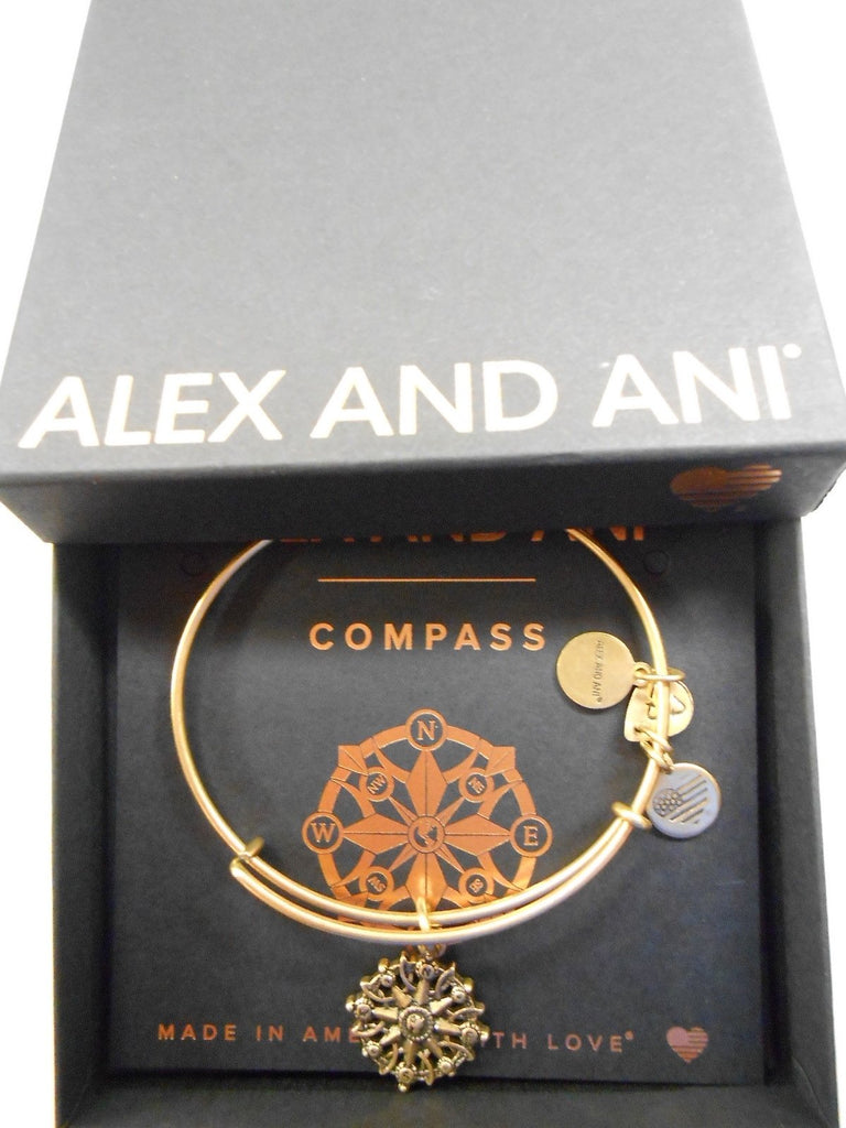Alex and ANI Compass III Bangle Bracelet