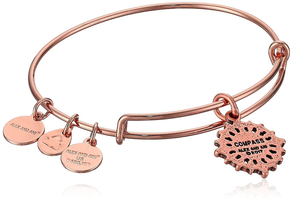 Alex and ANI Compass III Bangle Bracelet