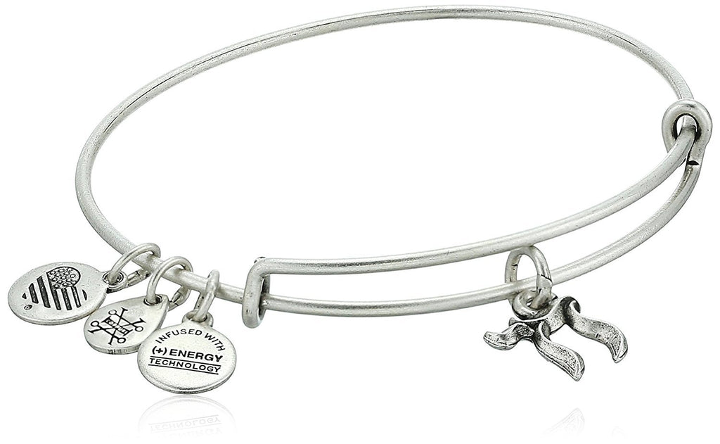 Alex and Ani Womens Chai EWB Bangle Bracelet, Rafaelian Silver, Expandable