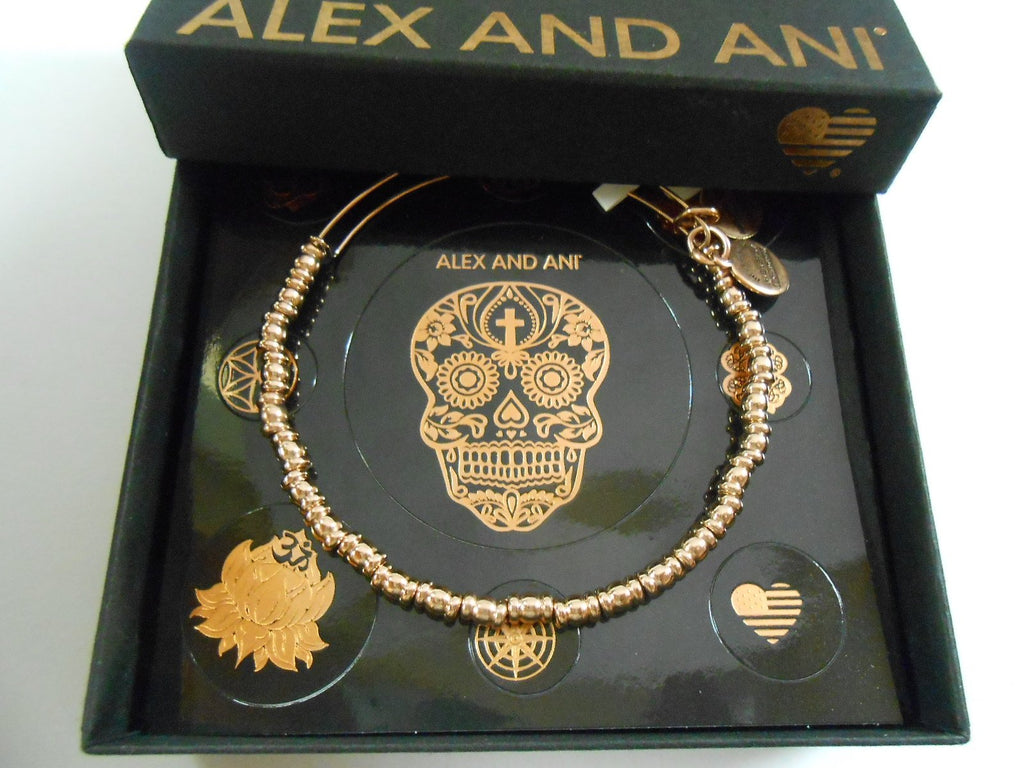 Alex and Ani Womens Rocker Bangle Bracelet