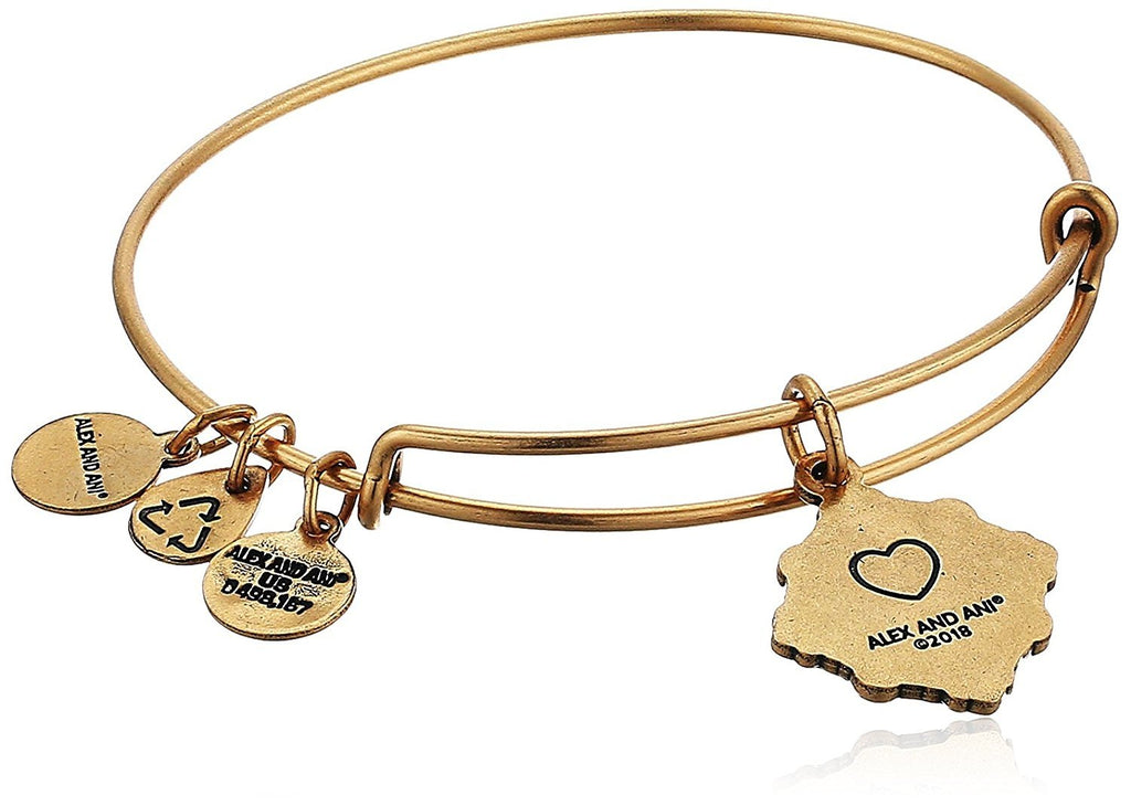 Alex and Ani Womens Because I Love You Grandmother III Bangle