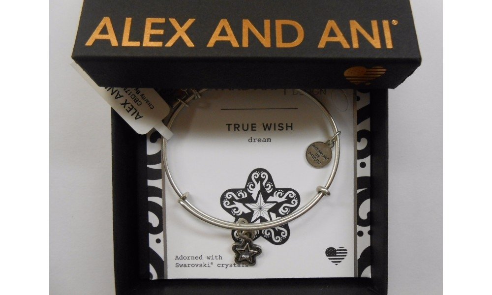 Alex and Ani Charity Design, True Wish EWB Bangle Bracelet