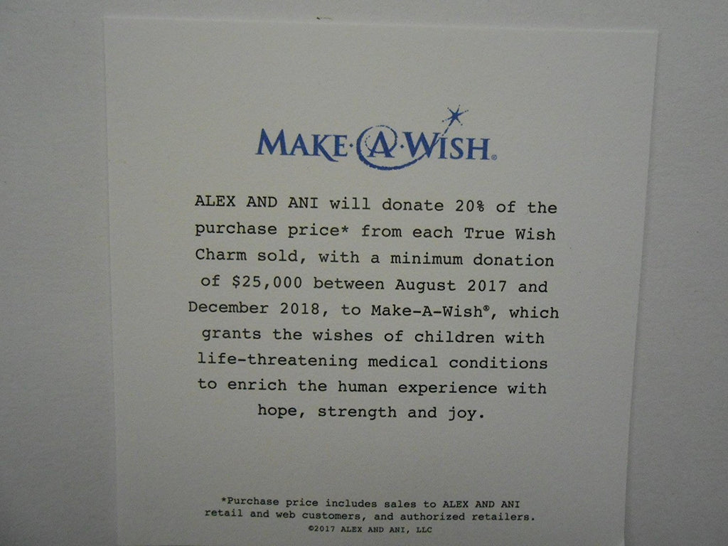 Alex and Ani Charity Design, True Wish EWB Bangle Bracelet
