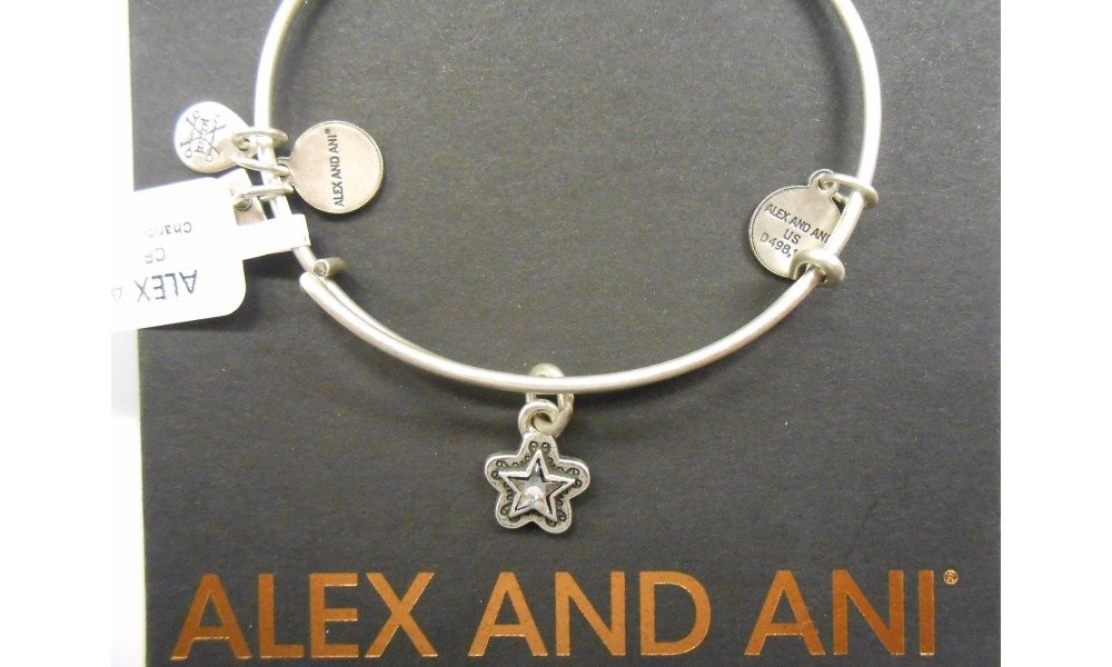 Alex and Ani Charity Design, True Wish EWB Bangle Bracelet