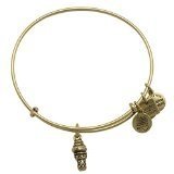 Alex and Ani Sweet Treats Charm Bangle Bracelet Rafaelian Gold Finish, CBD14STRG