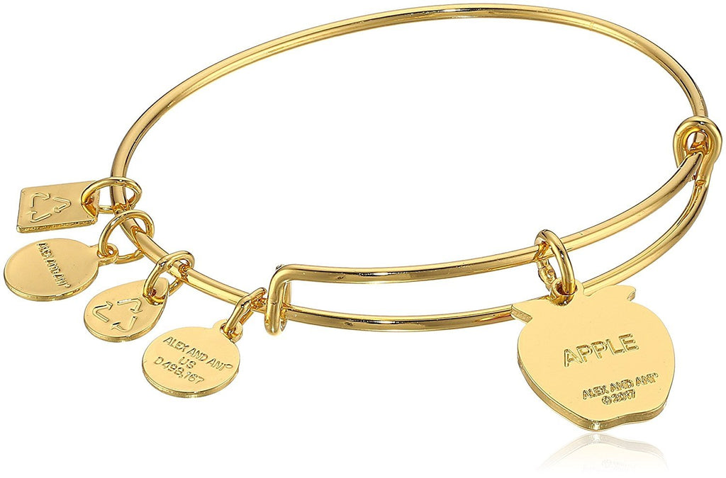 Alex and Ani Charity by Design, Apple EWB, Bangle Bracelet