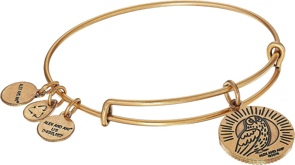 Alex and Ani Womens Teacher Bangle