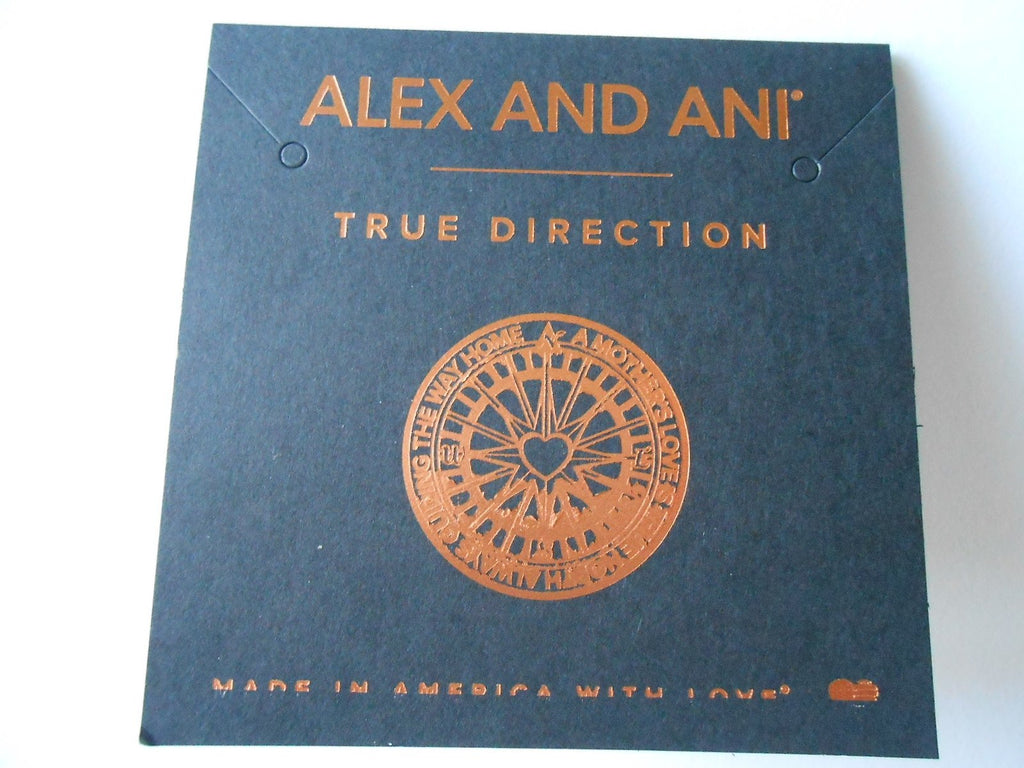 Alex and Ani True Direction Rafaelian Bangle Bracelet