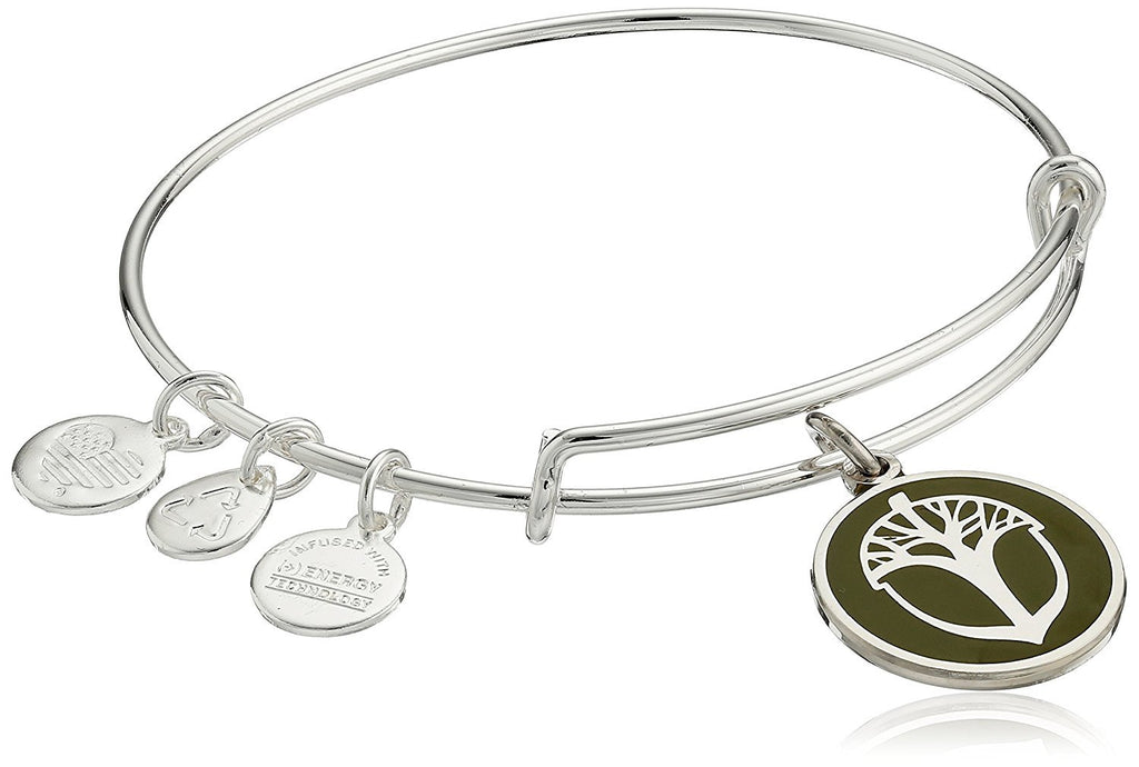 Alex and Ani Unexpected Miracles Color Infusion Bangle Bracelet