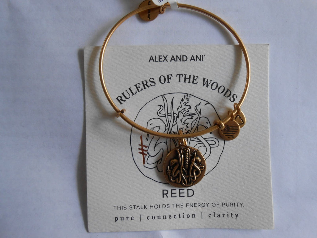 Alex and Ani Healer's Charm Bangle Bracelet