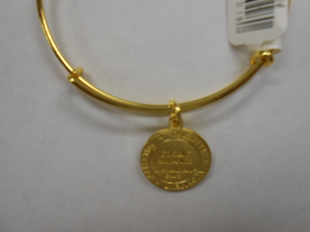 Alex and Ani Womens Color Infusion Cosmic Balance Bangle