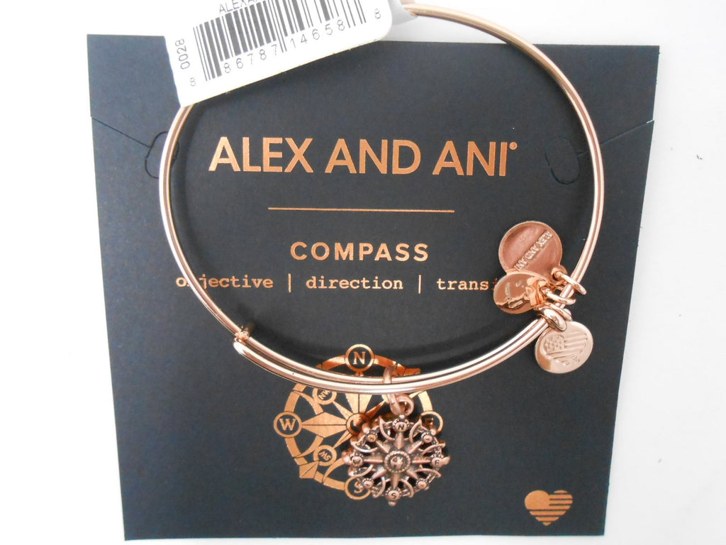 Alex and ANI Compass III Bangle Bracelet