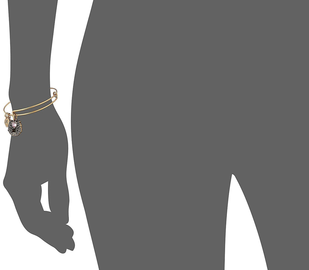 Alex and Ani Fortune's Favor Bangle Bracelet