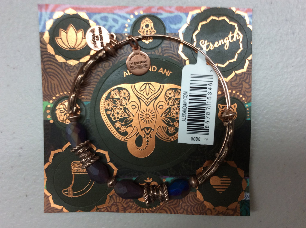 Alex and Ani Womens Journey Bangle Dark Orchid