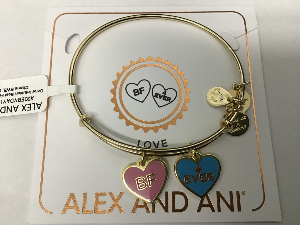 Alex and ANI Color Infusion Best Friends Duo Charm Bangle Bracelet Gold One Size