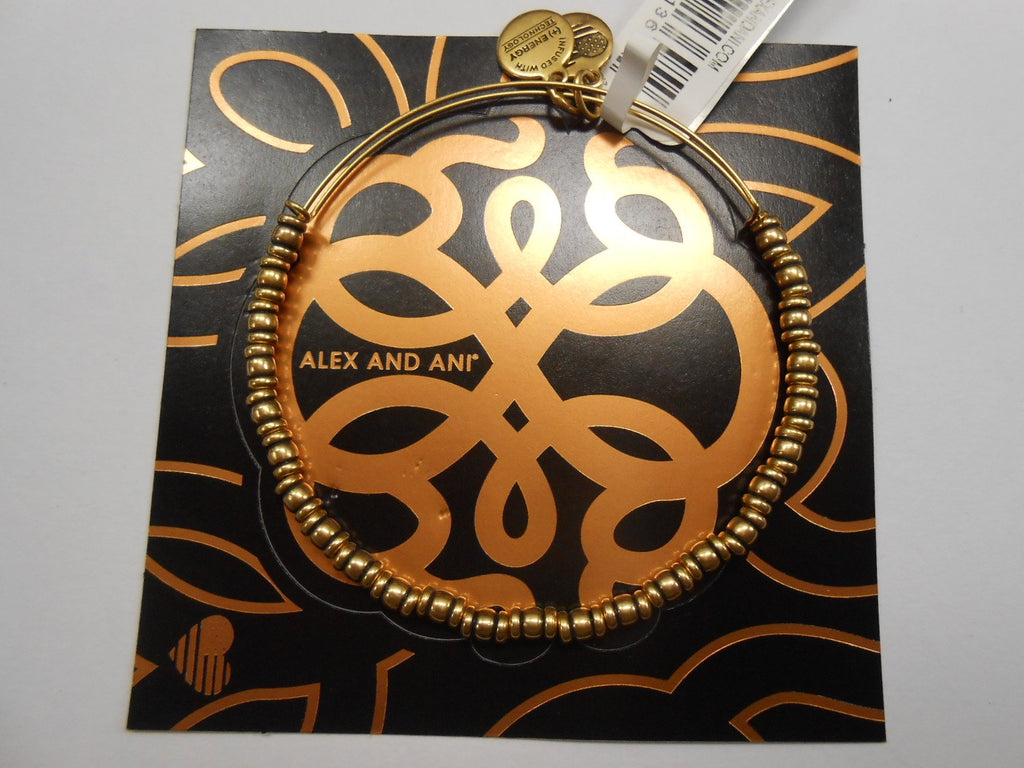 Alex and Ani Rocker Bangle - A17EBROCRG